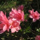 고향농장 이미지