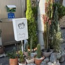 마마꾸 | 울산 삼산동양식 | 마마꾸 | 방문후기