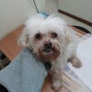 신월동193 이미지