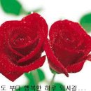 참좋은친구들 이미지