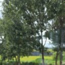 도대리카페 이미지