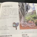 코나코코커피 이미지