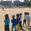 14년 성아어린이집, 성아유치원 가족 운동회~