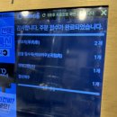 혜화양육관 | [혜화맛집]혜화양육관_혜화 대학로 양꼬치 꿔바로우 맛집 내돈내산 후기