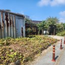 창선그라운드 골프장 | 파크골프 초보 도구의힘으로 실력월장 파크골프채 추천 판테온 파크골프채