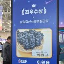 신화축산 | 과일 좋아하는 사람 총 집합!! 2025 대한민국 과일대전 후기