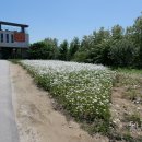 경정장후문 이미지