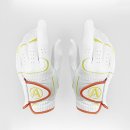 애니 골프 이미지