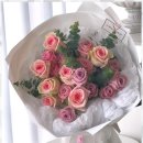 라라쉼터 이미지