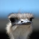 영서고등학교 이미지