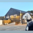 세븐일레븐 의정부가능행복점 | 의정부 애견동반식당 삼겹부대세트 후기 - 어반밸리