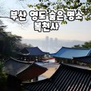 복천사 선원제전집도서 | 부산 영도 가볼만한곳 복천사 숨은 명소