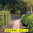 꽃진관 이미지