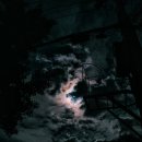 구름이네 이미지