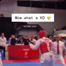 돌려차기태권도 이미지