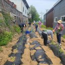 힐링가든 이미지