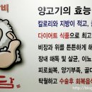 예담숯불양갈비