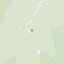 비선동 산삼 이미지