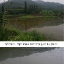 대능지 이미지