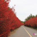 탐라대학교 이미지