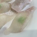 태평양산오징어
