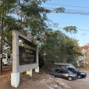 (주)섬고기 | 하나투어 방콕 3박5일 3일차 🌊파타야 산호섬 액티비티 총정리