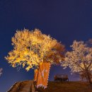 금강교옆 공원 | 공주 야경 명소 공산성 야간개장 입장 무료 산책 코스 조명 주차 등