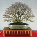 소사4로 이미지