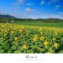 순광농장 이미지