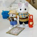 5763 | 5763 탐험을 떠나는 라떼 고양이 남매