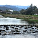 마산길 | 광양 현지인 맛집 서천변 여원정- 생고기 숙성해 만든 제육볶음 맛집 광양 로컬 맛집 추천