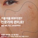 빛날;현뷰티 | [스킨앤왁싱]인덕원피부관리 피부는 가을에 늙는다? 사실일까요?