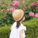 베베꼬모 이미지