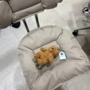 못된강아지 | 성수 젤리캣 스페이스 팝업스토어 Jellycat Space Pop-up Store(~12/28까지) 방문 및 구매 후기