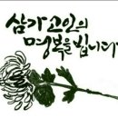 북신안장례식장 Daum카페