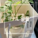 늘품로1 이미지