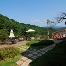 올리브펜션 이미지