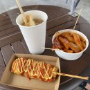 온실속베니 이미지