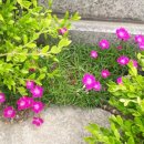 경희삼대한의원 이미지