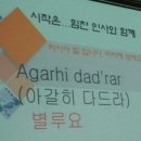 포옹호프 | 4.5-5.25