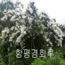 함평 경회루 이미지