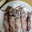 희옥농장 이미지