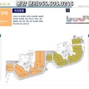 제니스발레학원 티스토리