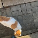 차차커피코강동경희대
