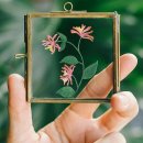 마니마니 이미지