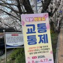 용흥궁공원1(관청리615-1) | 강화도 벚꽃 명소｜'강화산성북문 산책길' 후기(주차 포함)