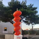 달콤왕가탕후루 홍성점 이미지