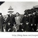 돼지팻션