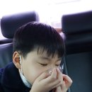 서귀피크닉 네이버블로그