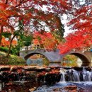 첫번째공인중개사사무소 이미지